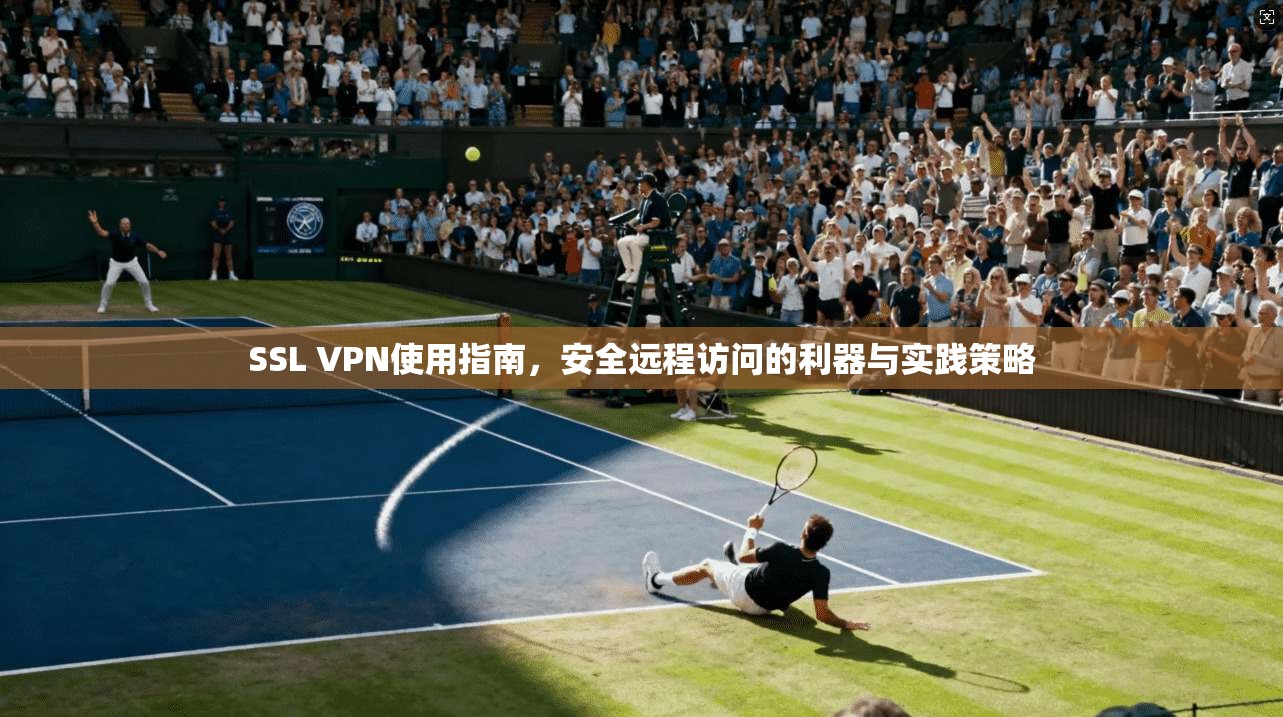 SSL VPN使用指南，安全远程访问的利器与实践策略