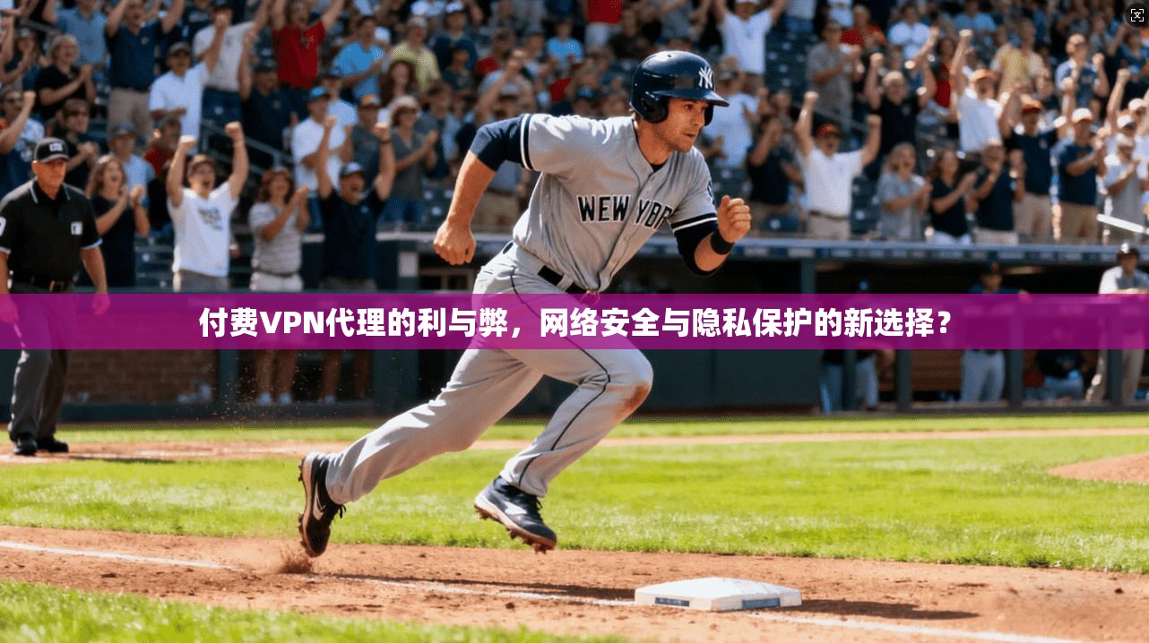 付费VPN代理的利与弊，网络安全与隐私保护的新选择？