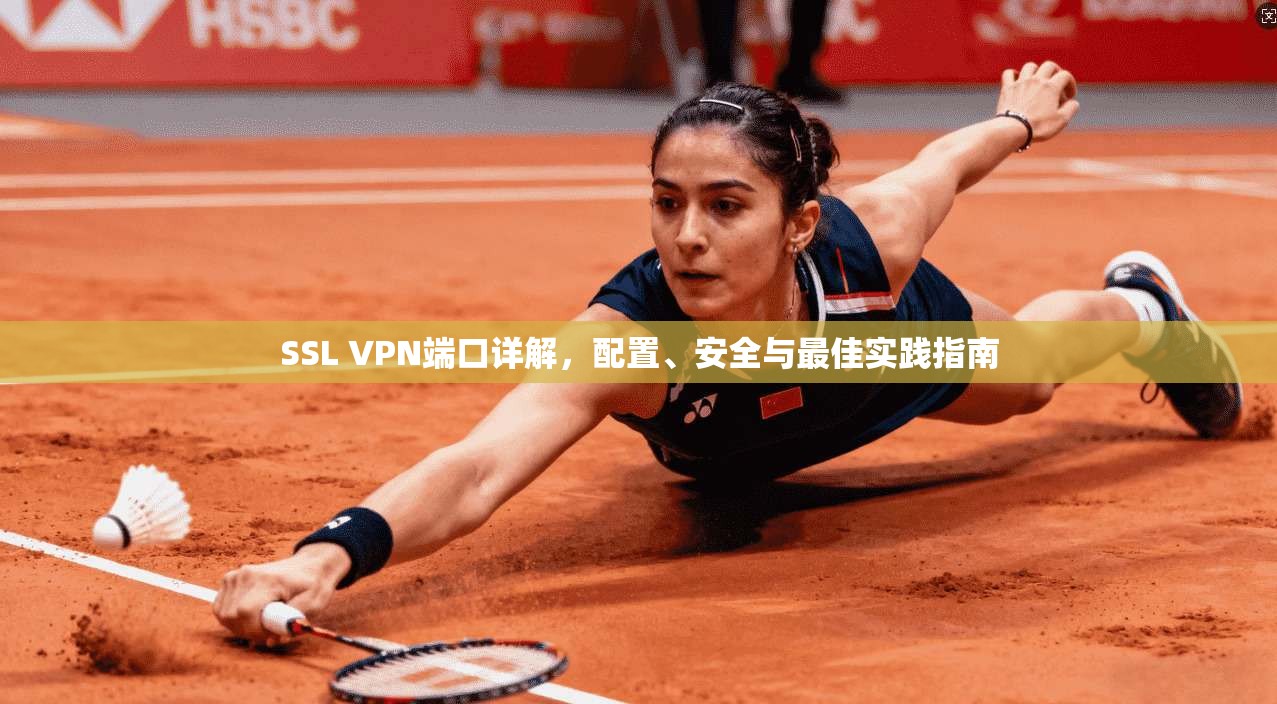 SSL VPN端口详解，配置、安全与最佳实践指南