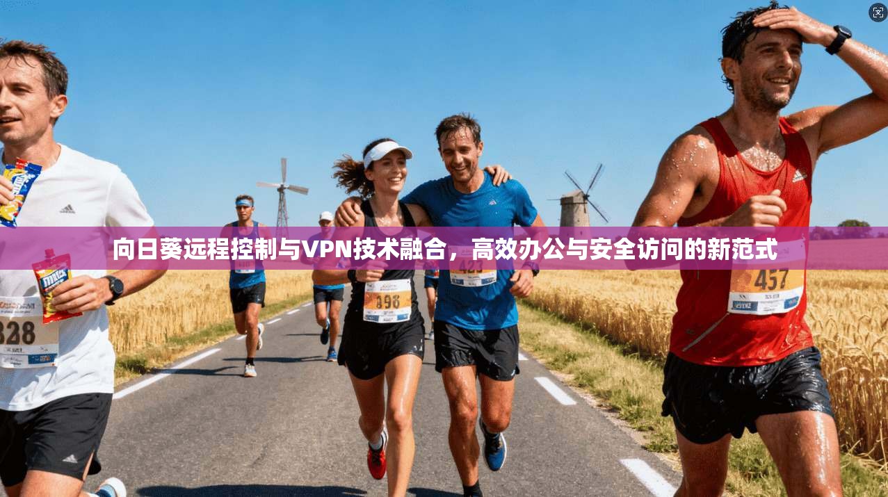 向日葵远程控制与VPN技术融合，高效办公与安全访问的新范式