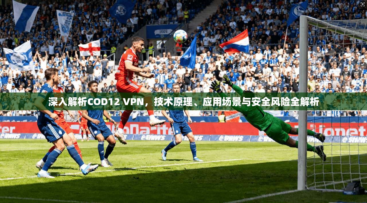 深入解析COD12 VPN，技术原理、应用场景与安全风险全解析