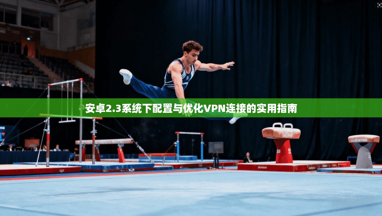 安卓2.3系统下配置与优化VPN连接的实用指南