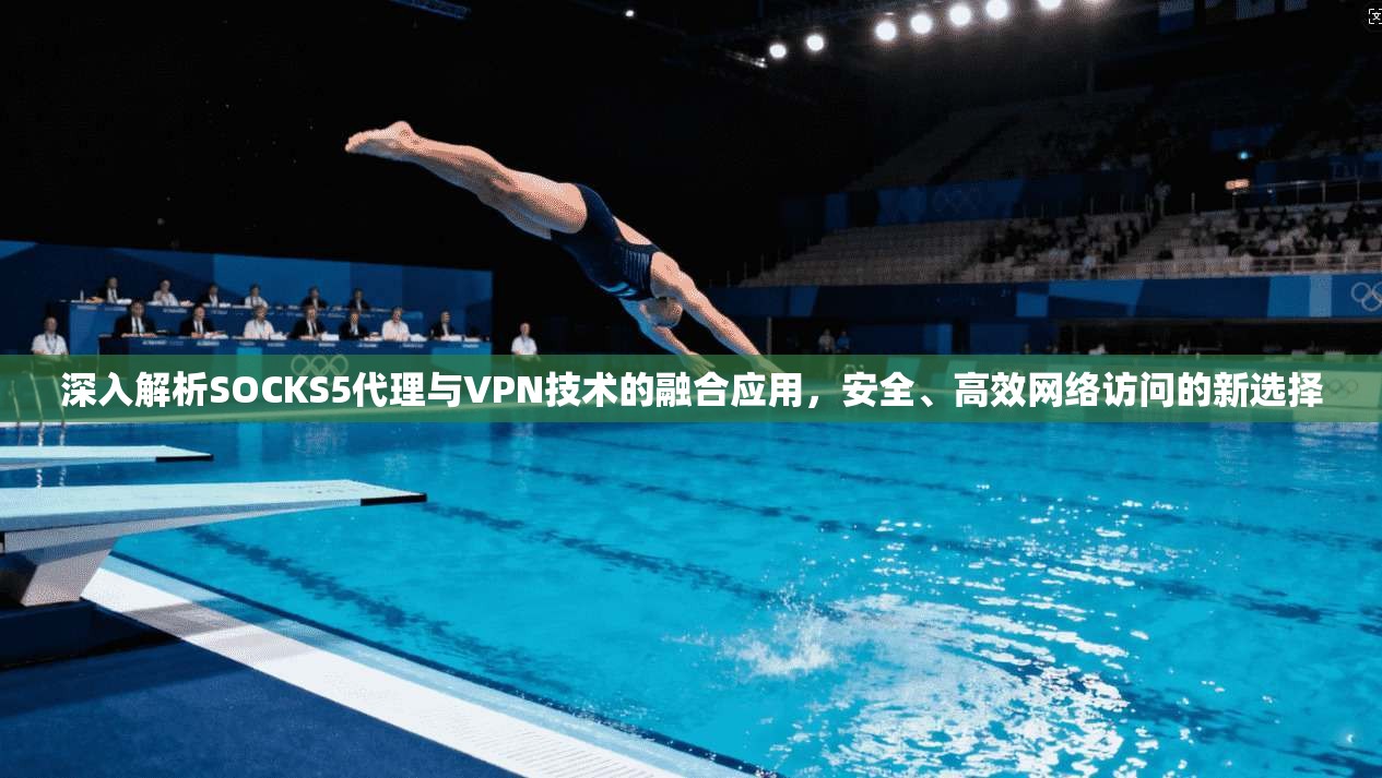 深入解析SOCKS5代理与VPN技术的融合应用，安全、高效网络访问的新选择