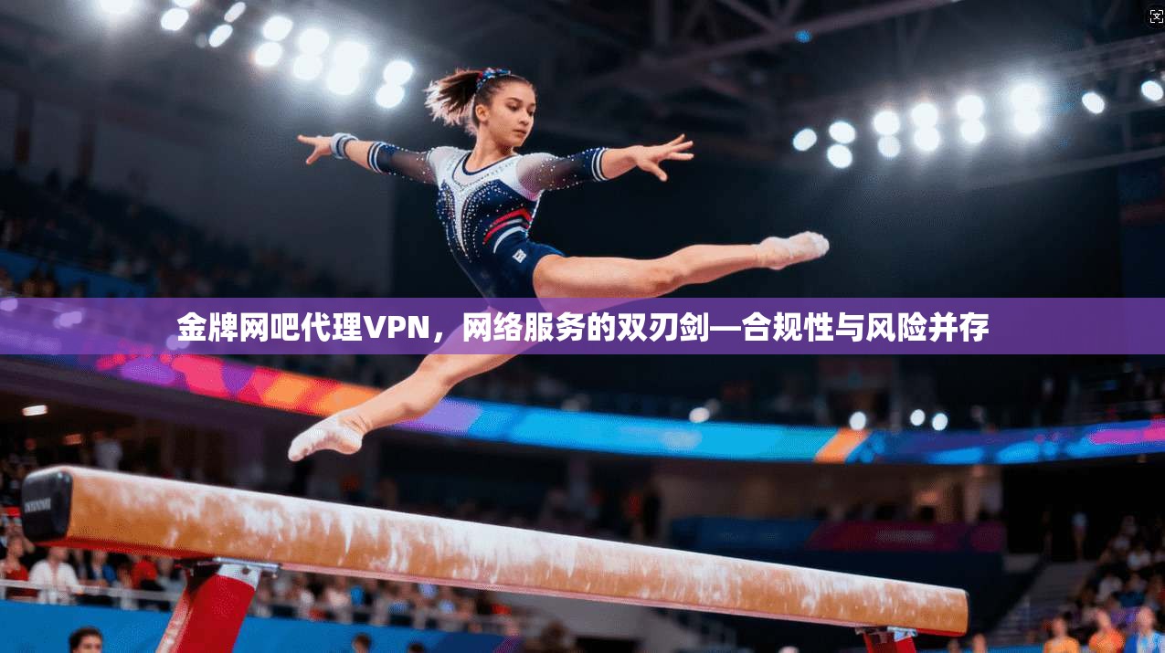金牌网吧代理VPN，网络服务的双刃剑—合规性与风险并存