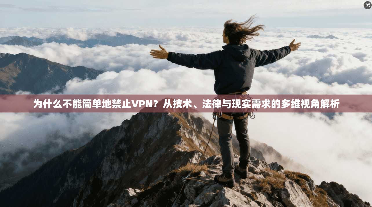 为什么不能简单地禁止VPN？从技术、法律与现实需求的多维视角解析
