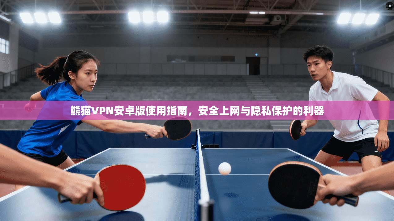 熊猫VPN安卓版使用指南，安全上网与隐私保护的利器