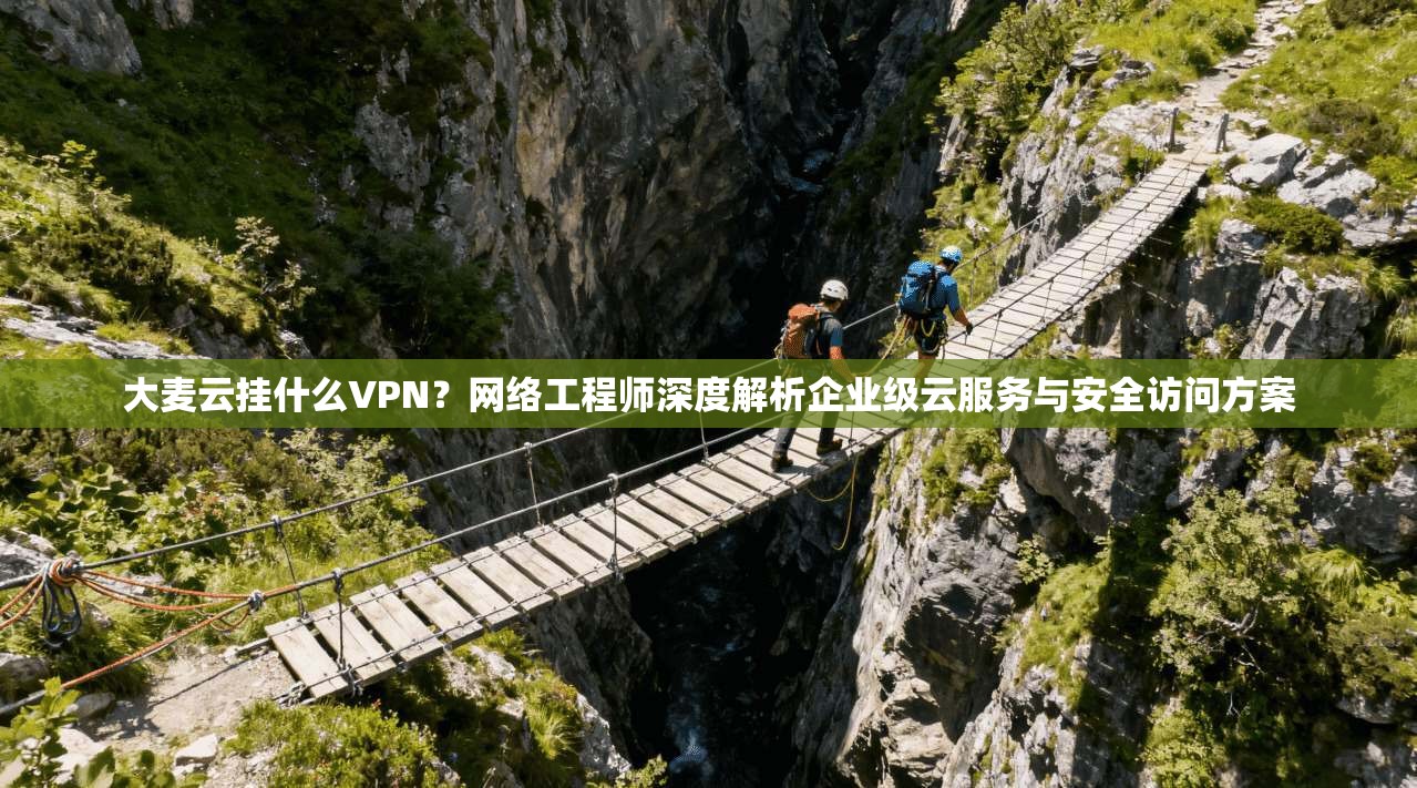 大麦云挂什么VPN？网络工程师深度解析企业级云服务与安全访问方案
