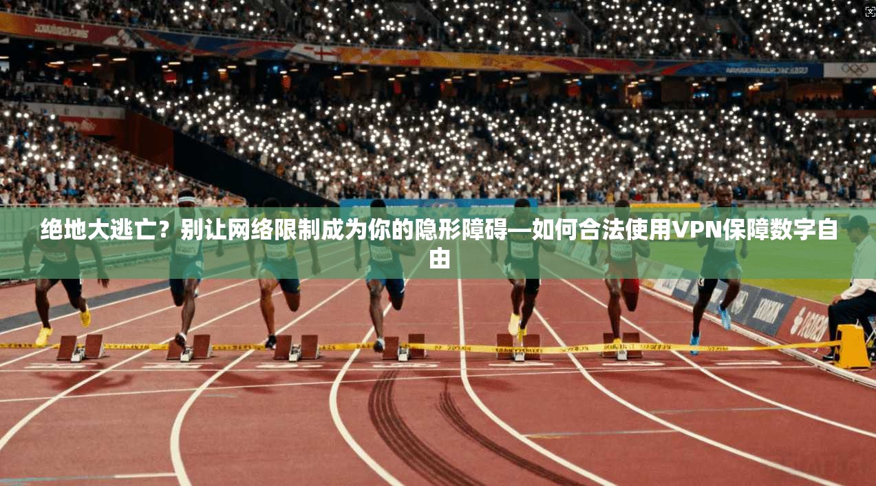 绝地大逃亡？别让网络限制成为你的隐形障碍—如何合法使用VPN保障数字自由