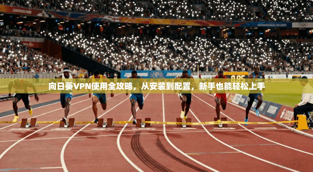 向日葵VPN使用全攻略,从安装到配置,新手也能轻松上手 向日葵VPN使用全攻略,从安装到配置,新手也能轻松上手
