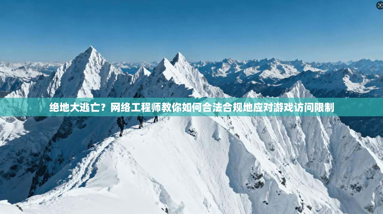 绝地大逃亡？网络工程师教你如何合法合规地应对游戏访问限制
