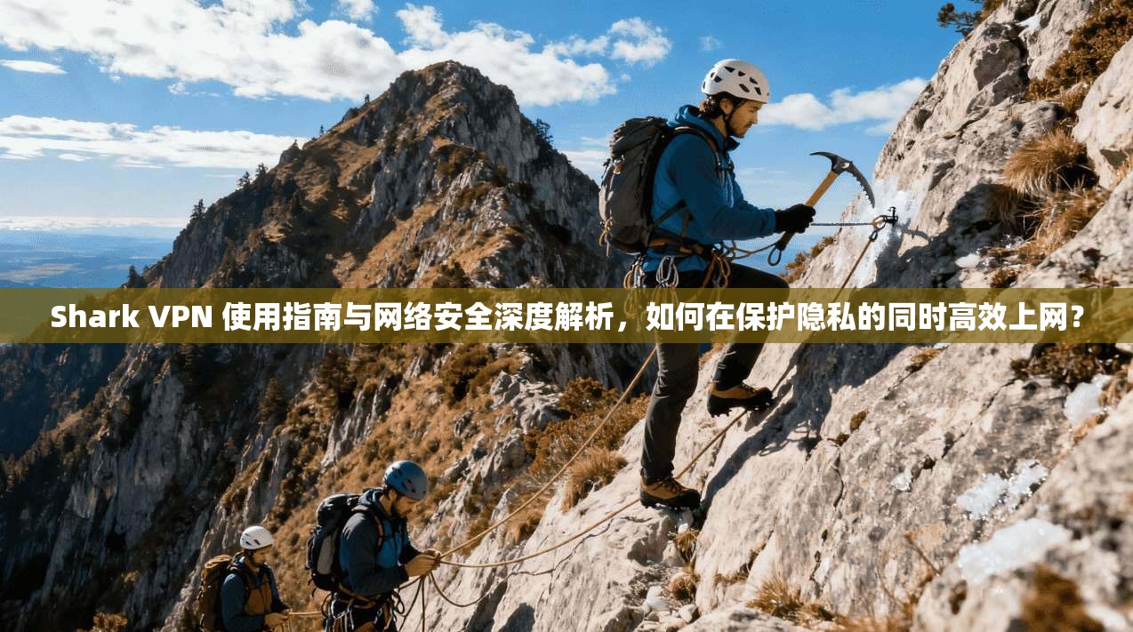 Shark VPN 使用指南与网络安全深度解析，如何在保护隐私的同时高效上网？