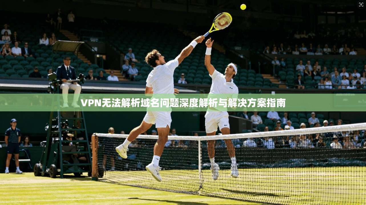 VPN无法解析域名问题深度解析与解决方案指南