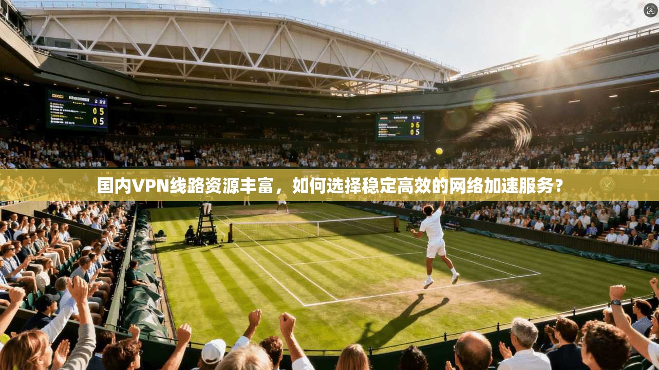 国内VPN线路资源丰富，如何选择稳定高效的网络加速服务？