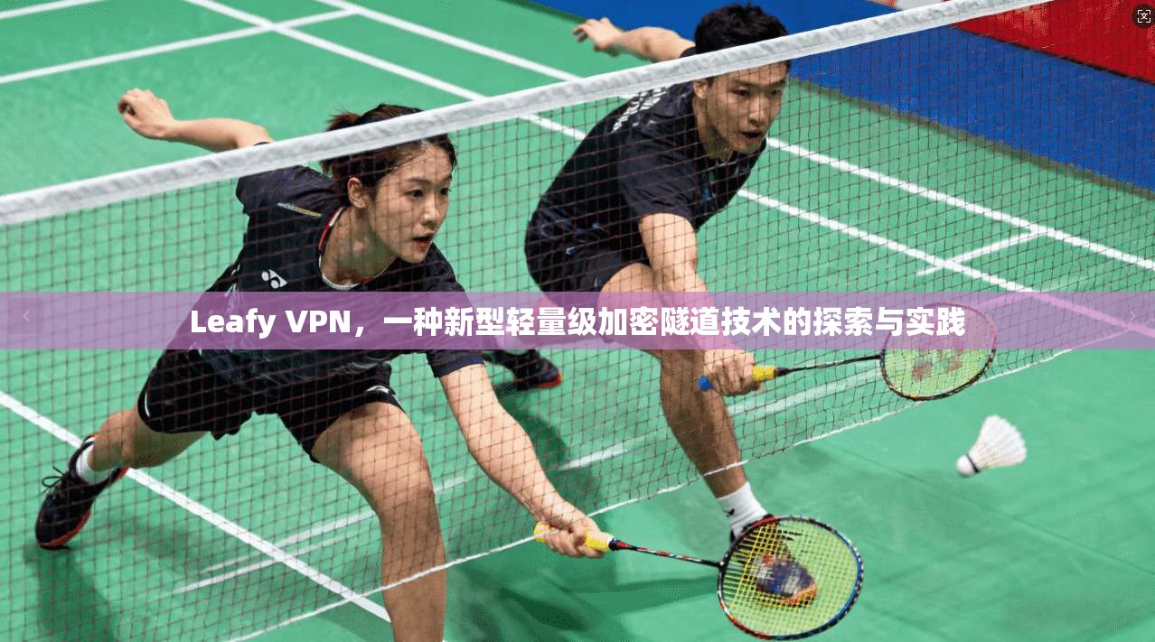 Leafy VPN，一种新型轻量级加密隧道技术的探索与实践