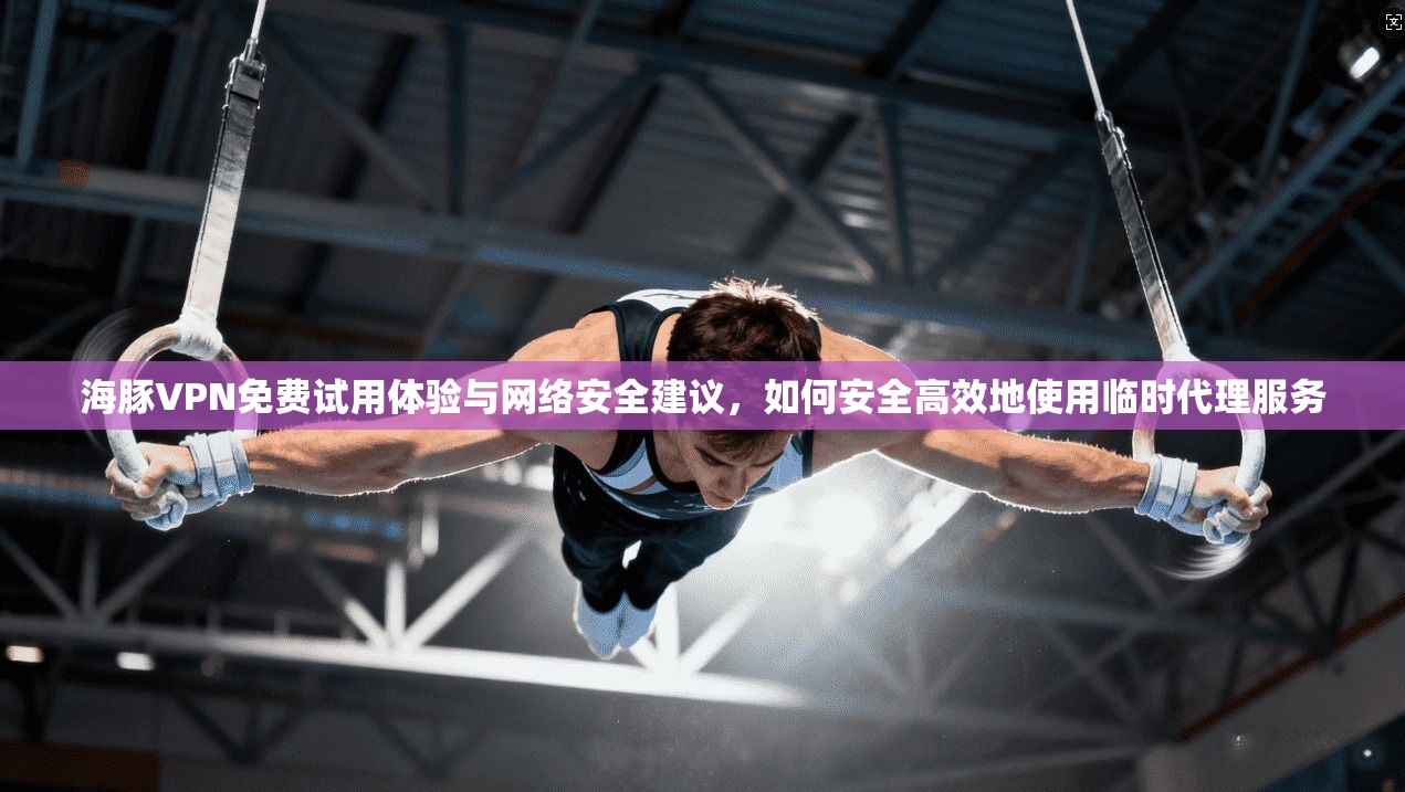 海豚VPN免费试用体验与网络安全建议，如何安全高效地使用临时代理服务
