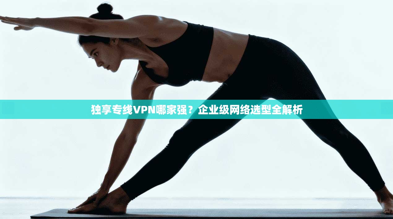 独享专线VPN哪家强？企业级网络选型全解析