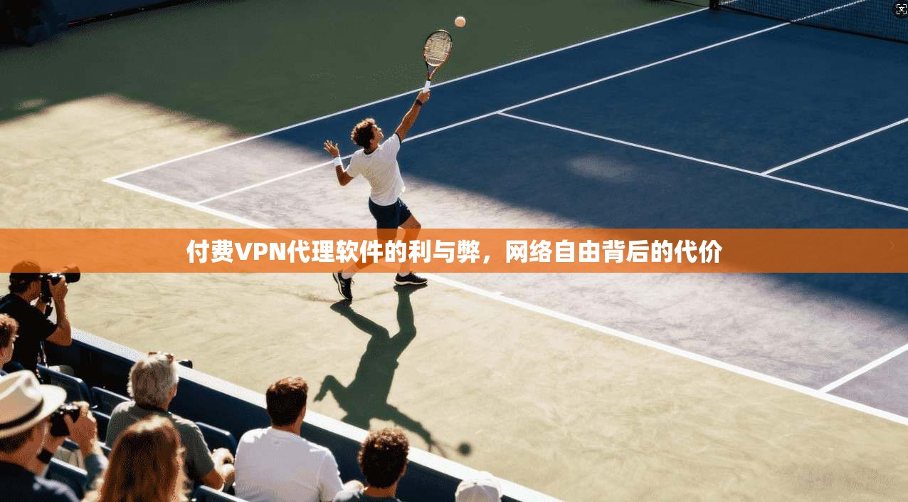 付费VPN代理软件的利与弊，网络自由背后的代价