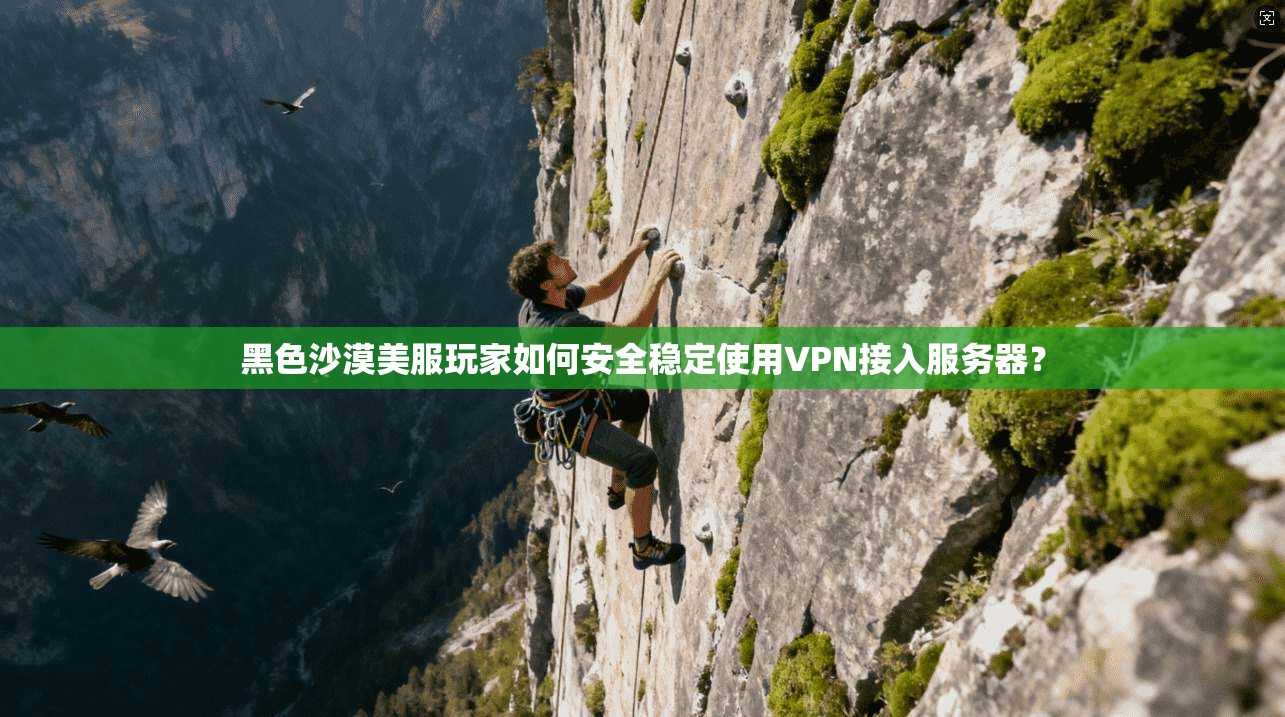 黑色沙漠美服玩家如何安全稳定使用VPN接入服务器？