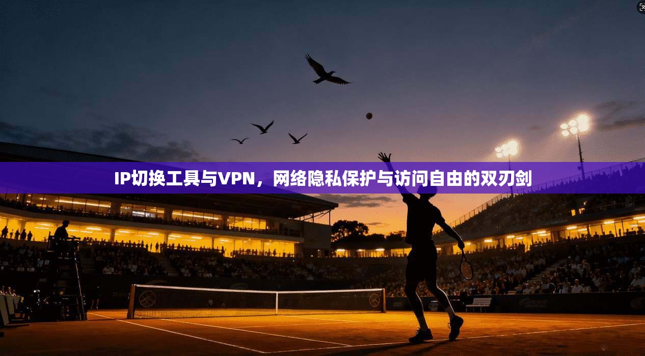 IP切换工具与VPN，网络隐私保护与访问自由的双刃剑