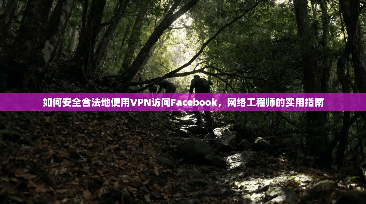 如何安全合法地使用VPN访问Facebook,网络工程师的实用指南 如何安全合法地使用VPN访问Facebook,网络工程师的实用指南