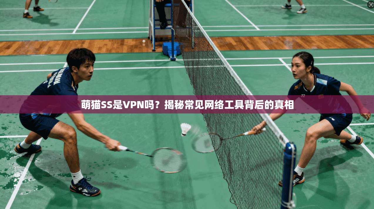 萌猫SS是VPN吗？揭秘常见网络工具背后的真相