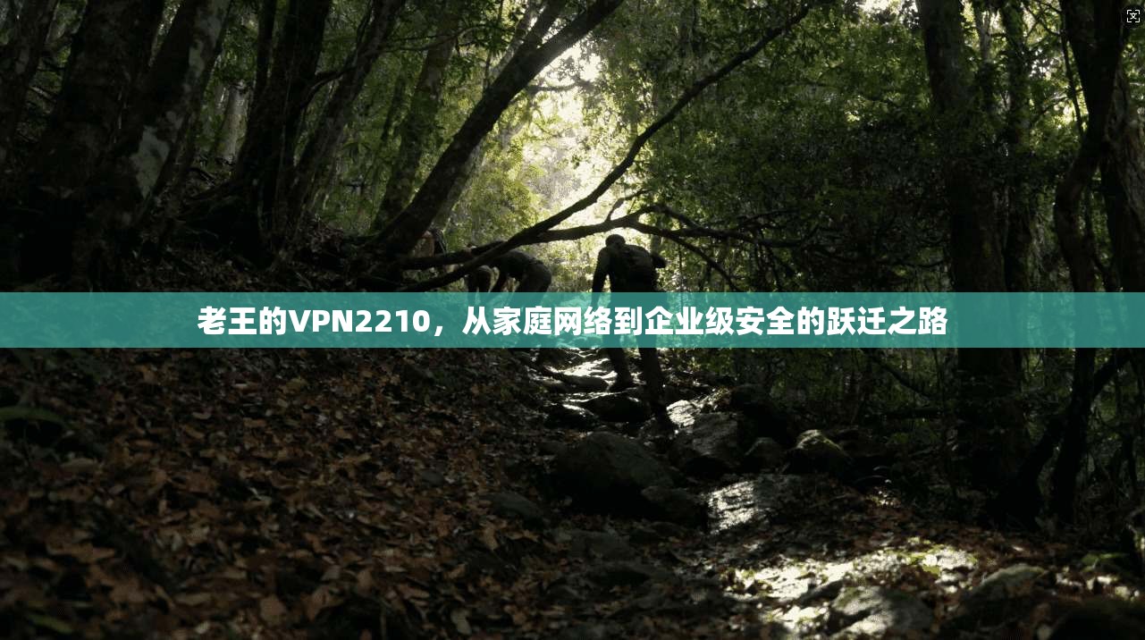 老王的VPN2210，从家庭网络到企业级安全的跃迁之路