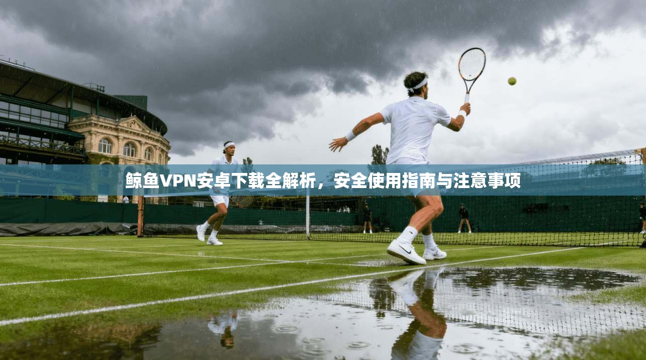 鲸鱼VPN安卓下载全解析，安全使用指南与注意事项