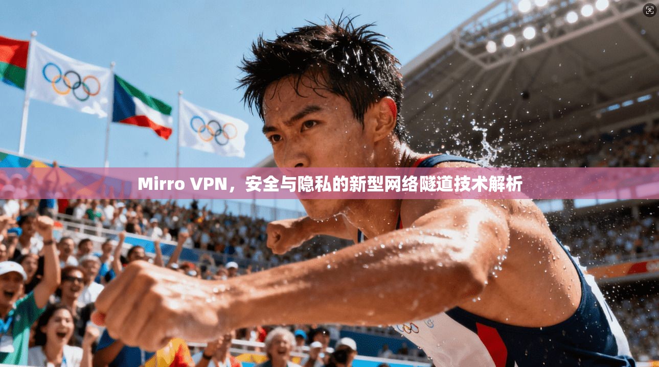 Mirro VPN，安全与隐私的新型网络隧道技术解析