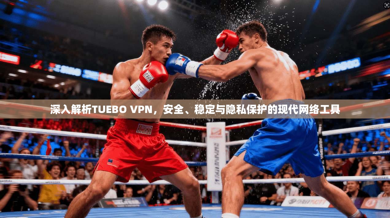 深入解析TUEBO VPN，安全、稳定与隐私保护的现代网络工具