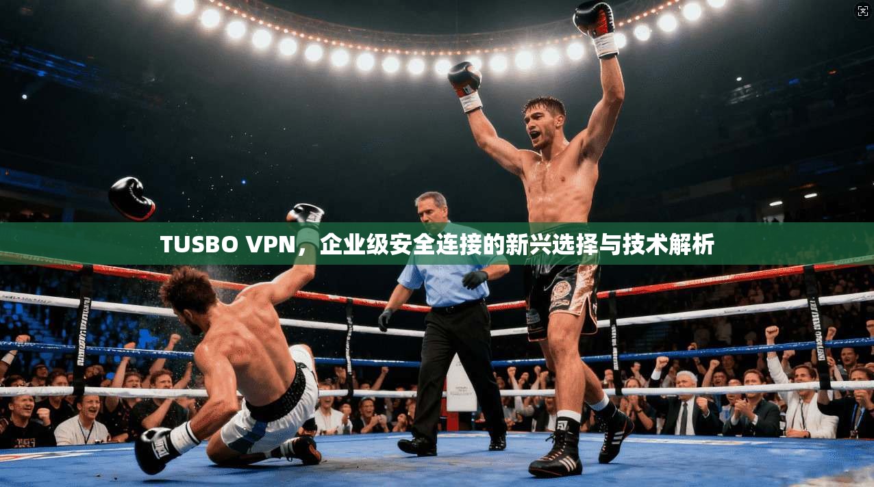 TUSBO VPN,企业级安全连接的新兴选择与技术解析 TUSBO VPN,企业级安全连接的新兴选择与技术解析