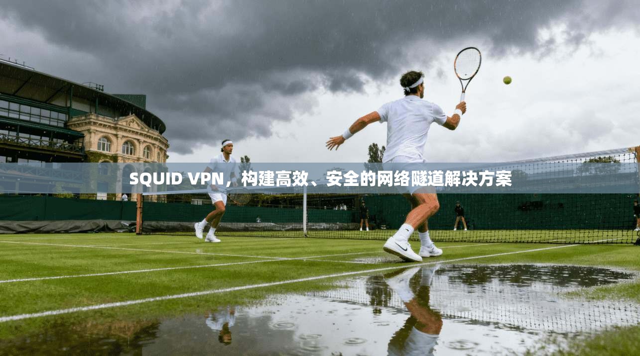 SQUID VPN，构建高效、安全的网络隧道解决方案
