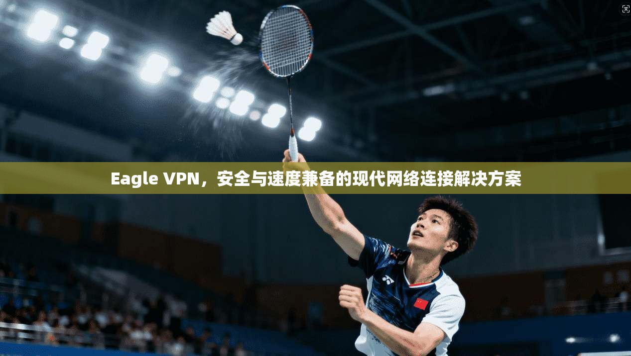 Eagle VPN，安全与速度兼备的现代网络连接解决方案