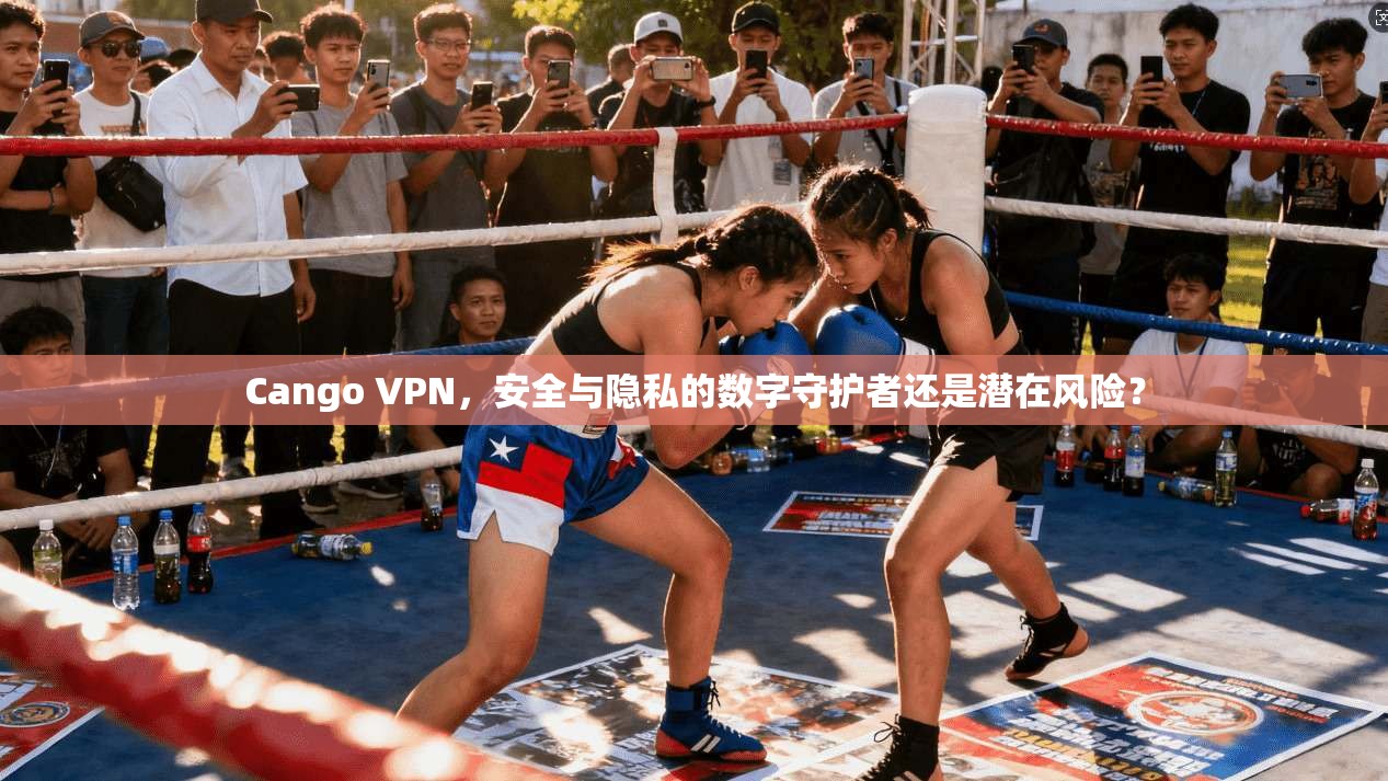 Cango VPN，安全与隐私的数字守护者还是潜在风险？
