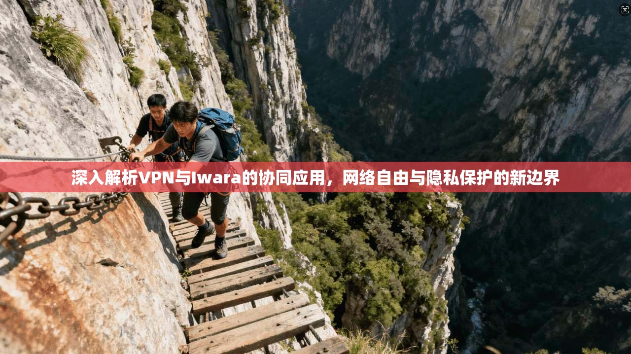 深入解析VPN与Iwara的协同应用，网络自由与隐私保护的新边界