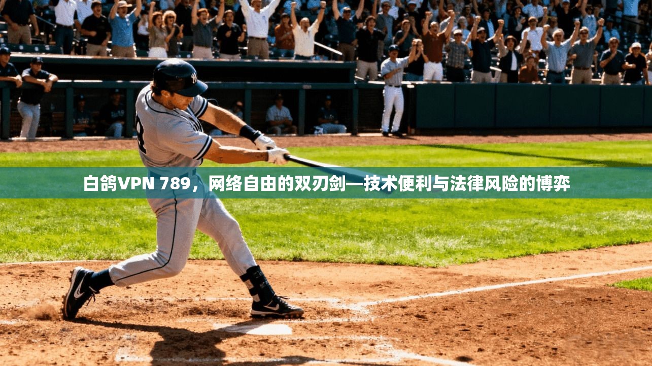 白鸽VPN 789,网络自由的双刃剑—技术便利与法律风险的博弈 白鸽VPN 789,网络自由的双刃剑—技术便利与法律风险的博弈
