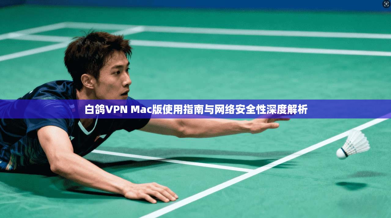 白鸽VPN Mac版使用指南与网络安全性深度解析