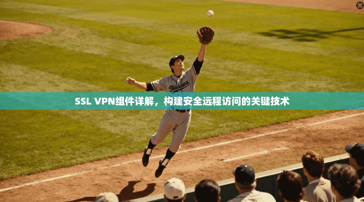 SSL VPN组件详解，构建安全远程访问的关键技术