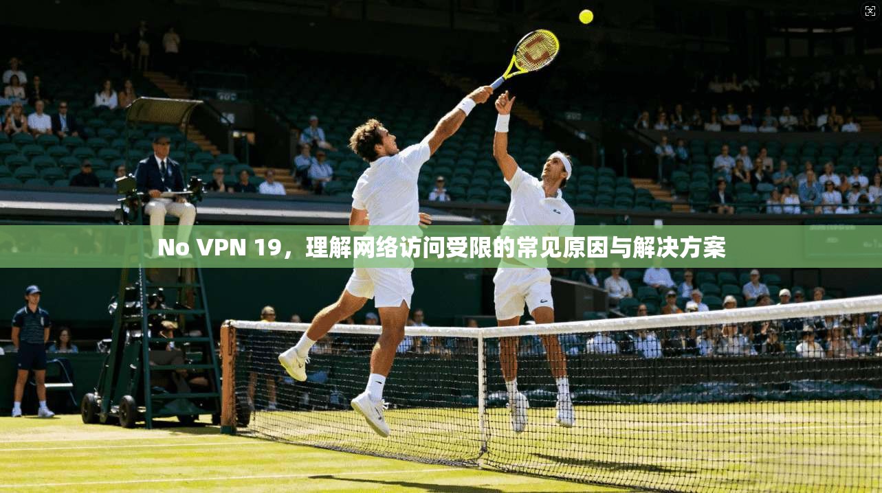 No VPN 19，理解网络访问受限的常见原因与解决方案