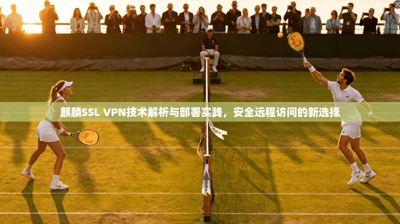 麒麟SSL VPN技术解析与部署实践,安全远程访问的新选择 麒麟SSL VPN技术解析与部署实践,安全远程访问的新选择