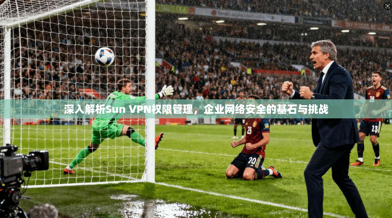 深入解析Sun VPN权限管理，企业网络安全的基石与挑战