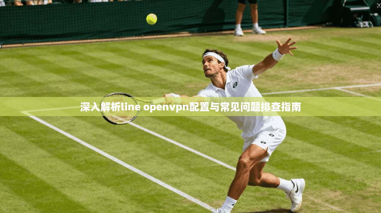 深入解析line openvpn配置与常见问题排查指南