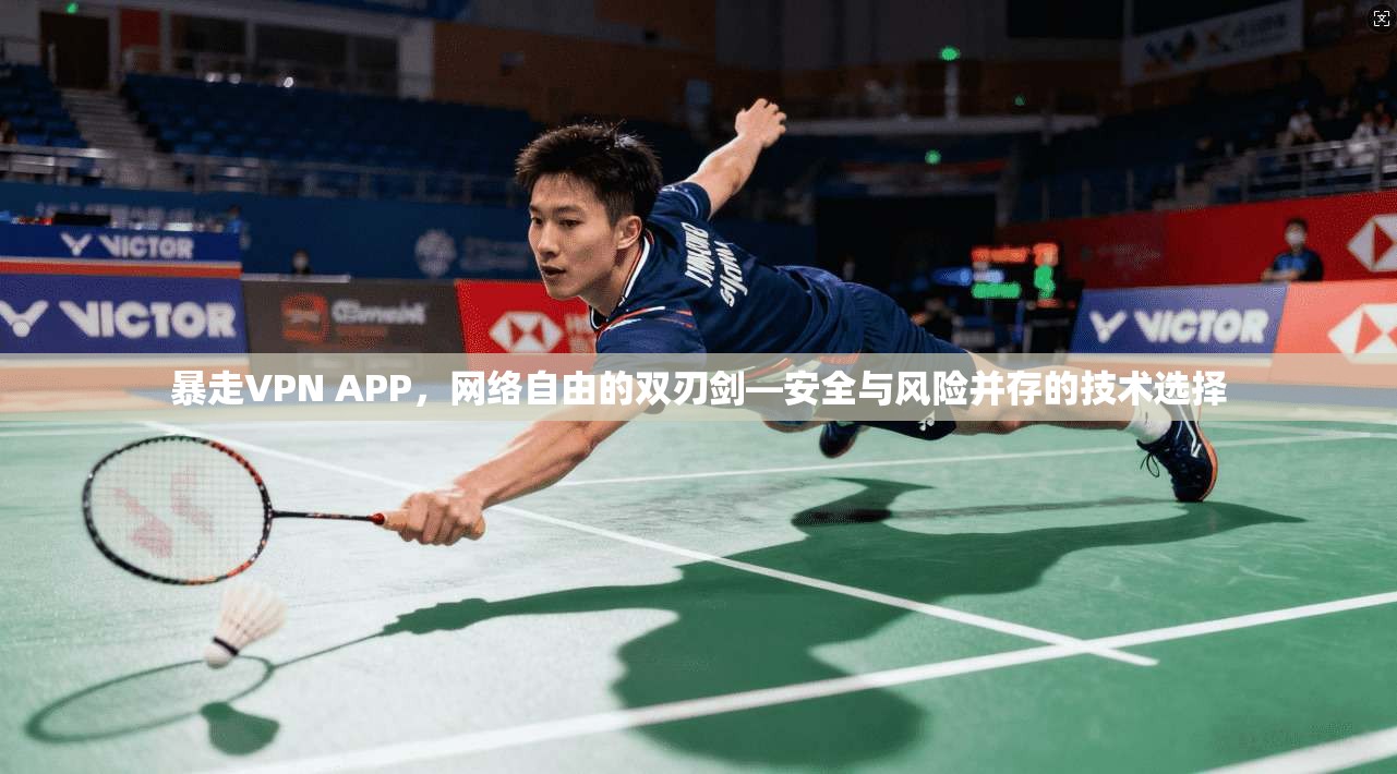 暴走VPN APP，网络自由的双刃剑—安全与风险并存的技术选择