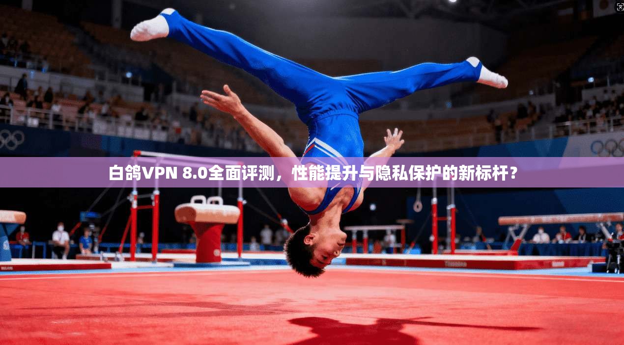 白鸽VPN 8.0全面评测，性能提升与隐私保护的新标杆？