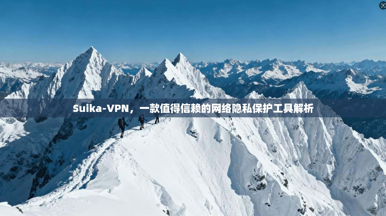 Suika-VPN，一款值得信赖的网络隐私保护工具解析