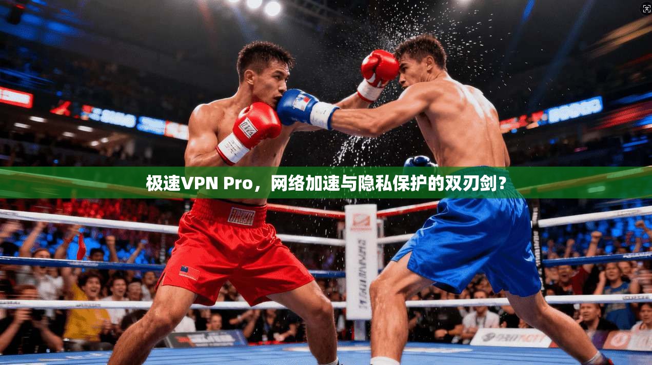极速VPN Pro，网络加速与隐私保护的双刃剑？