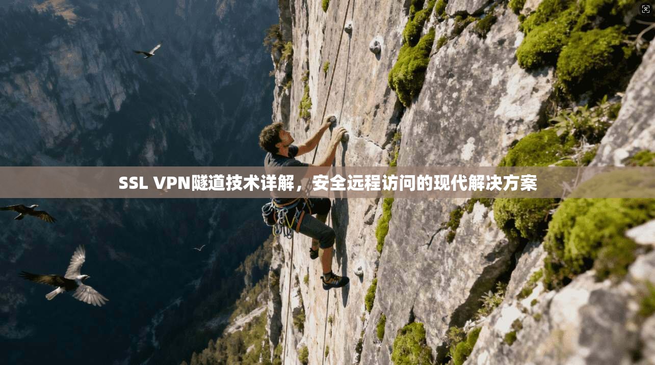 SSL VPN隧道技术详解，安全远程访问的现代解决方案