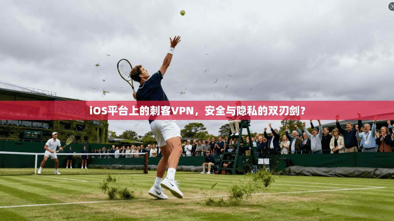 iOS平台上的刺客VPN，安全与隐私的双刃剑？