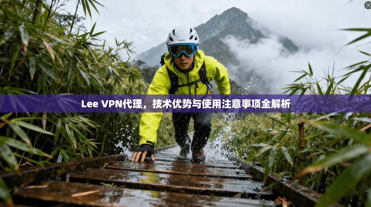 Lee VPN代理，技术优势与使用注意事项全解析