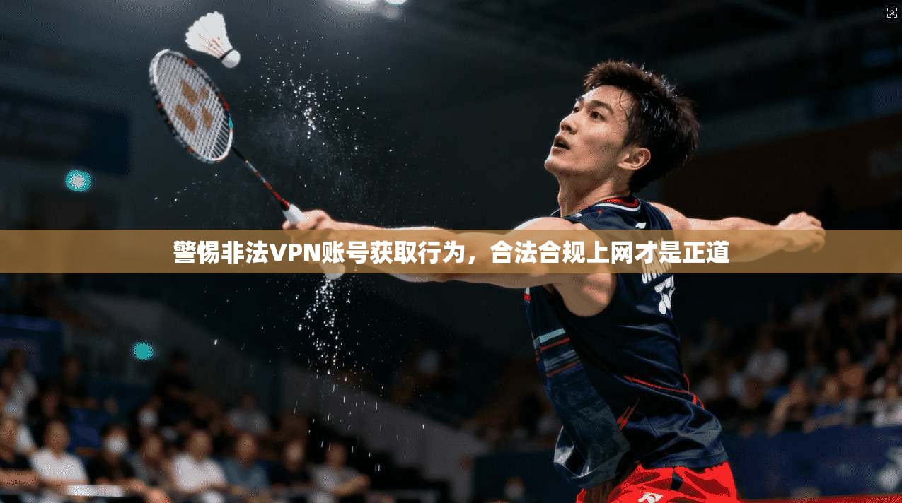 警惕非法VPN账号获取行为，合法合规上网才是正道