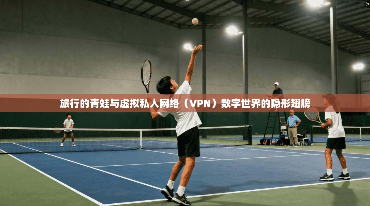旅行的青蛙与虚拟私人网络（VPN）数字世界的隐形翅膀